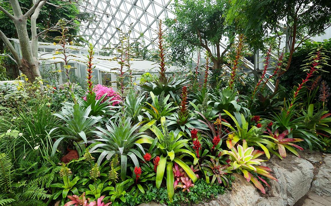 王的盛宴 1.jpg 王的盛宴 1.jpg