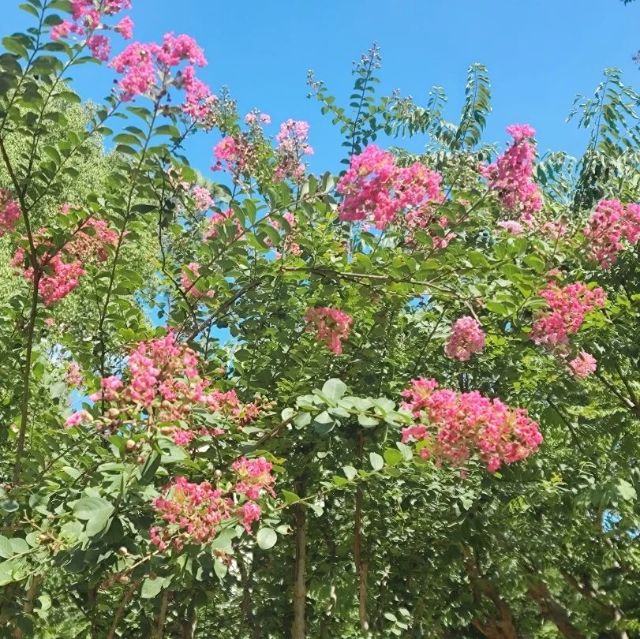 0830_141224_649.jpg 微信图片_20240830095855.jpg