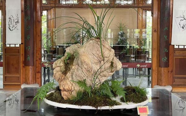 7dbb318cfd33b67be176d11428afee0.jpg 7dbb318cfd33b67be176d11428afee0.jpg