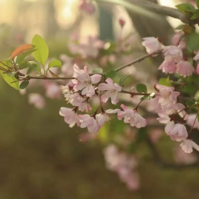 0407_121551_435.jpg 微信图片_2025-04-07_121358_195.jpg