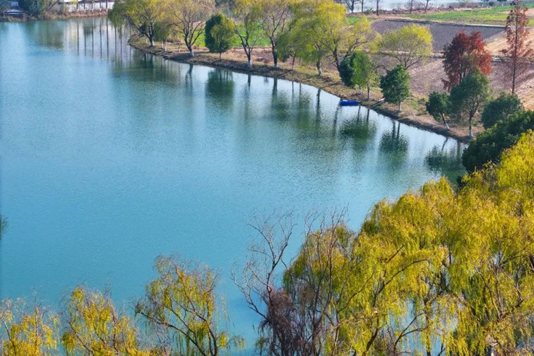 江南春景水一半,12处小流域绘青浦生态美域 江南春景水一半,12处小流域绘青浦生态美域