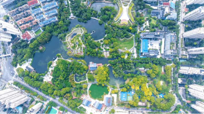 20241016081614081637.png image.png