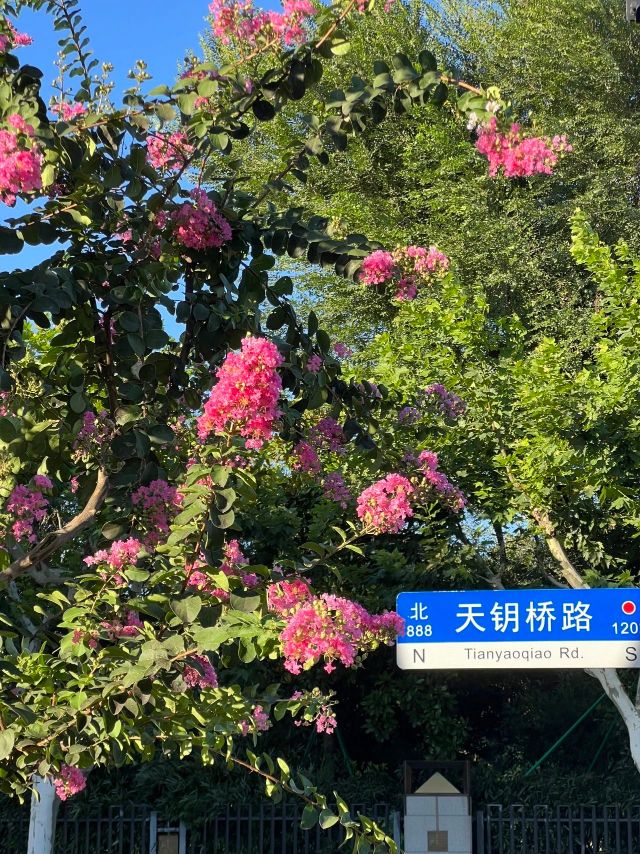 0830_141248_512.jpg 微信图片_20240830095906.jpg