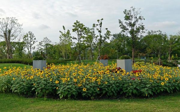 IMG20240926163819.jpg IMG20240926163819.jpg