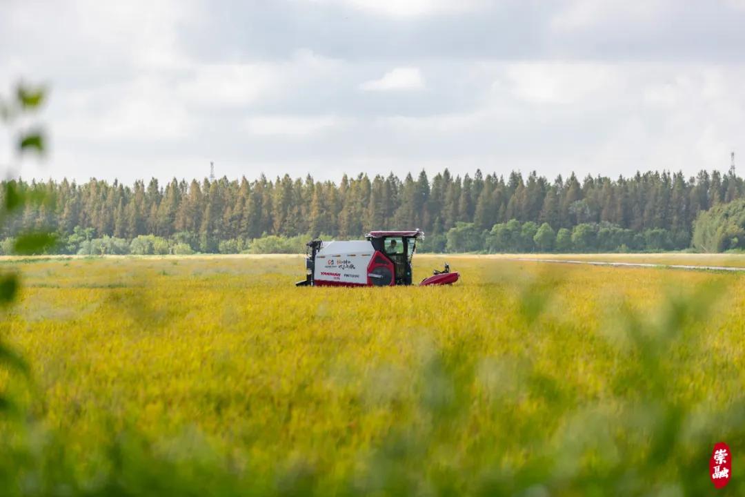 20241008152451002533.jpg 20241008152451002533.jpg