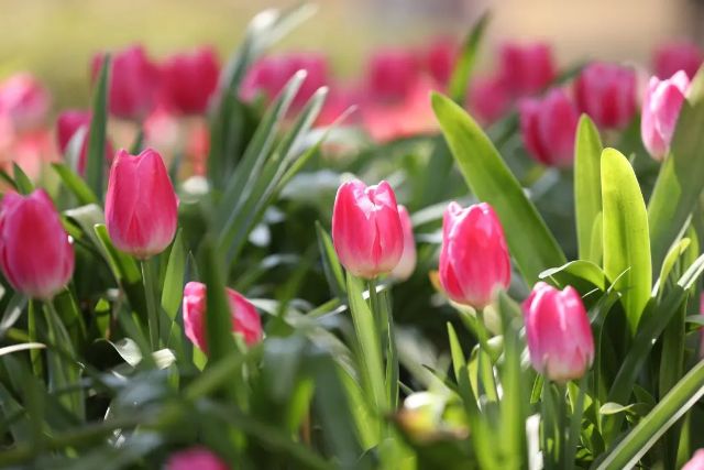 0324_125959_116.jpg 微信图片_2025-03-24_130027_610.jpg