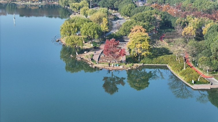 冬日“沪”水游,青浦新城:冬境绮梦,水韵流长 冬日“沪”水游,青浦新城:冬境绮梦,水韵流长