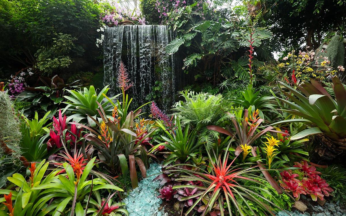 飞瀑彩虹 2.jpg 飞瀑彩虹 2.jpg