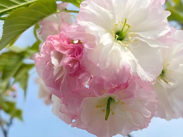 0324_143657_223.jpg 微信图片_2025-03-24_121517_827.jpg