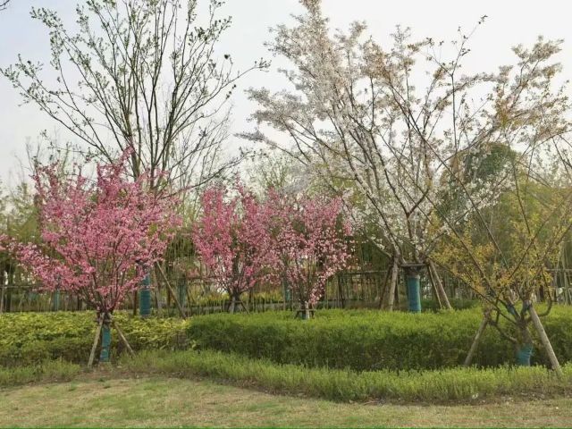 0407_121742_786.jpg 微信图片_2025-04-07_121410_489.jpg