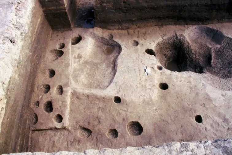 几度秋意,一眼江南,青浦这条水乡线路好有韵味! 几度秋意,一眼江南,青浦这条水乡线路好有韵味!