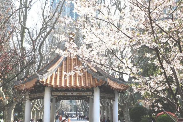 0324_143630_909.jpg 微信图片_2025-03-24_121506_500.jpg