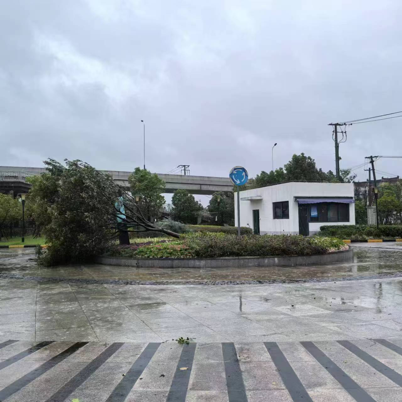 迎战“贝碧嘉”,市港航中心确保大治河西枢纽二线船闸安全防台 .png 迎战“贝碧嘉”,市港航中心确保大治河西枢纽二线船闸安全防台 .png