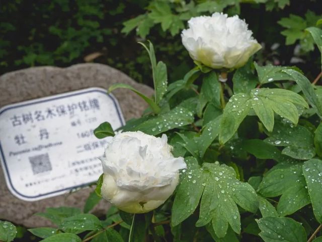 0307_144713_294.jpg 微信图片_2025-03-07_103659_692.jpg