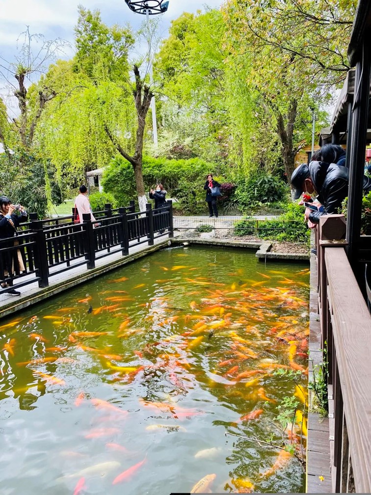 会·聚青浦|来青浦走街串巷,这“秋膘”也是时候贴起来了! 会·聚青浦|来青浦走街串巷,这“秋膘”也是时候贴起来了!