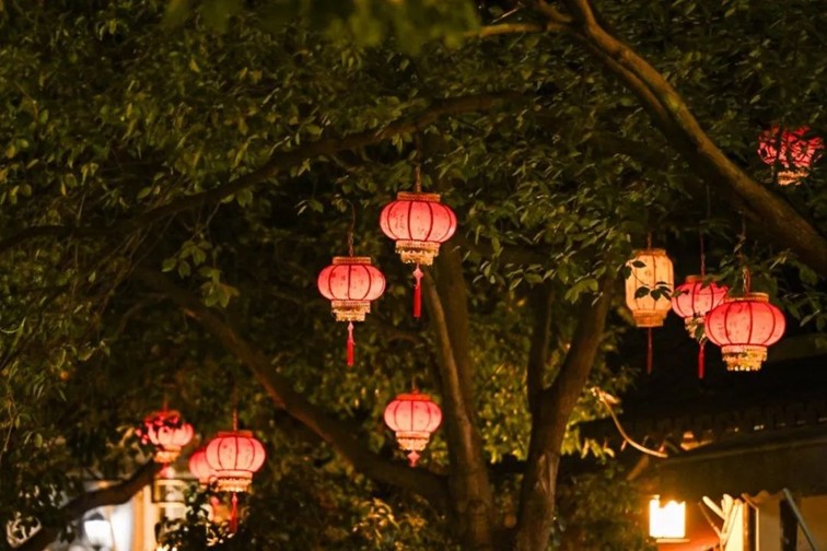 提一盏花灯入梦江南,来青浦用一场元宵灯海收官蛇年春节! 提一盏花灯入梦江南,来青浦用一场元宵灯海收官蛇年春节!