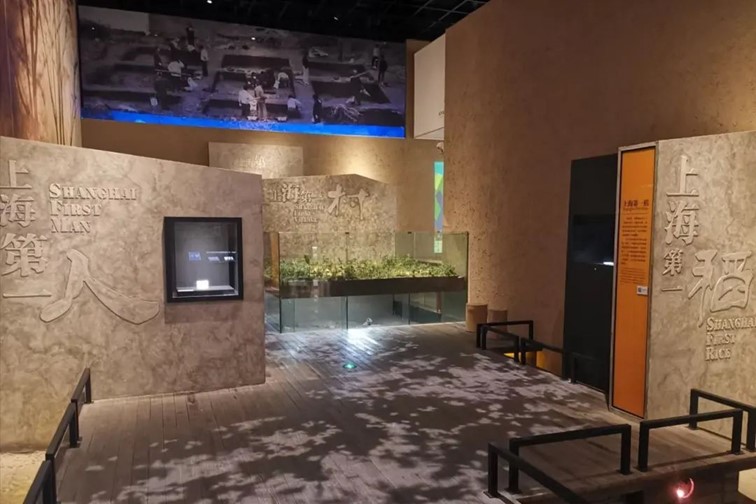 快高铁·慢生活|开通啦!青浦上榜长三角“四季主题榜单”和十大主题线路! 快高铁·慢生活|开通啦!青浦上榜长三角“四季主题榜单”和十大主题线路!