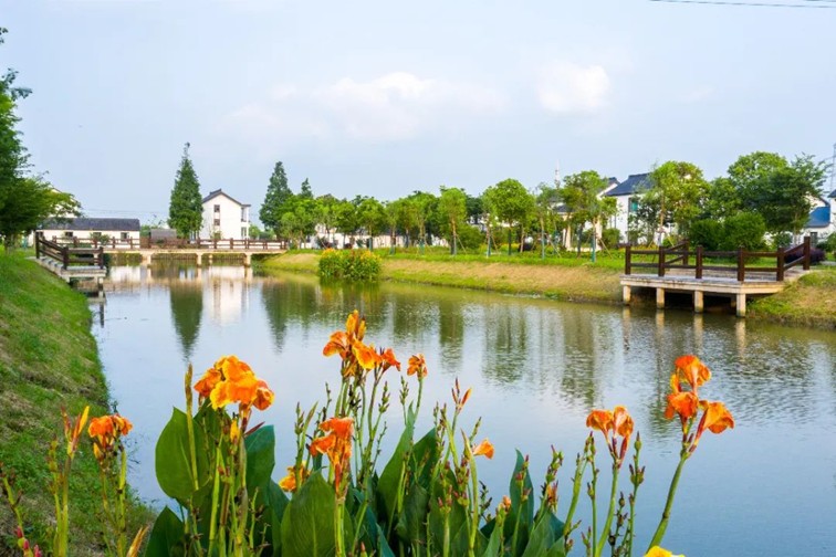 江南春景水一半,12处小流域绘青浦生态美域 江南春景水一半,12处小流域绘青浦生态美域