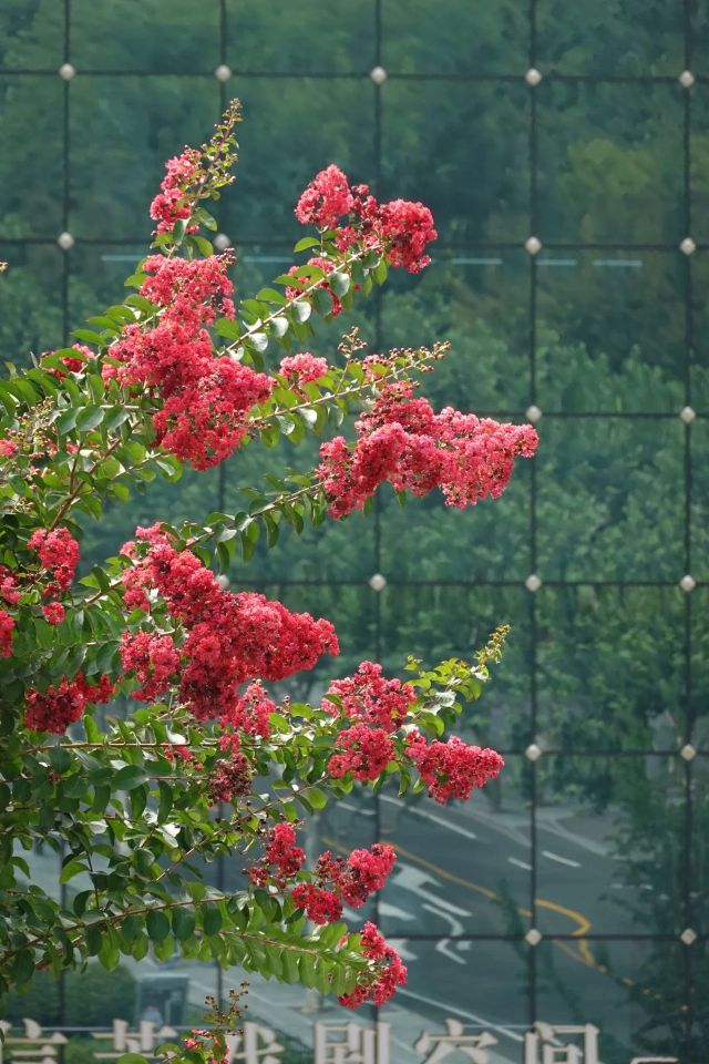 0830_141253_873.jpg 微信图片_20240830095908.jpg