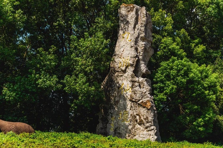 随着镜头中的涟漪,在水韵流转中感受青浦水美乡村 随着镜头中的涟漪,在水韵流转中感受青浦水美乡村