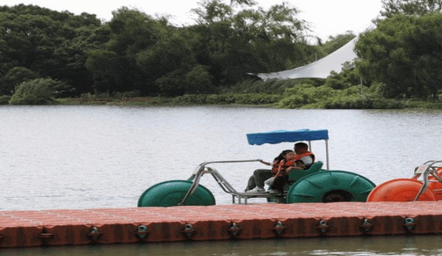 来青浦,燃动新年,爱满绿舟!2025元旦迎新骑跑活动火热招募中! 来青浦,燃动新年,爱满绿舟!2025元旦迎新骑跑活动火热招募中!