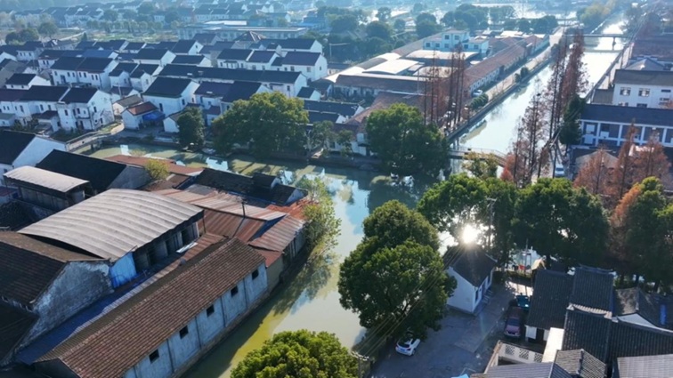 青浦:寻梦水乡,碧波东流开新篇 青浦:寻梦水乡,碧波东流开新篇