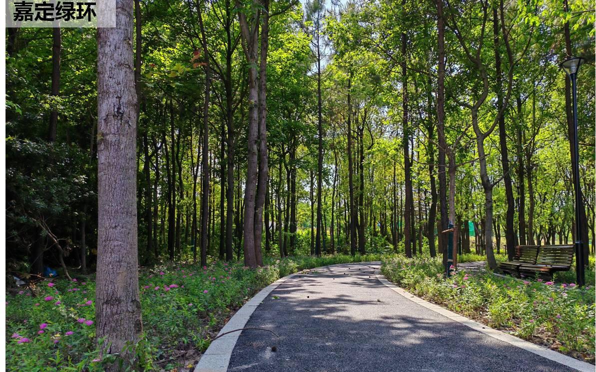 嘉定绿环.jpg 嘉定绿环.jpg