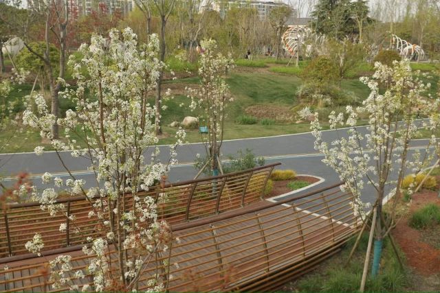 0407_121650_402.jpg 微信图片_2025-04-07_121401_827.jpg