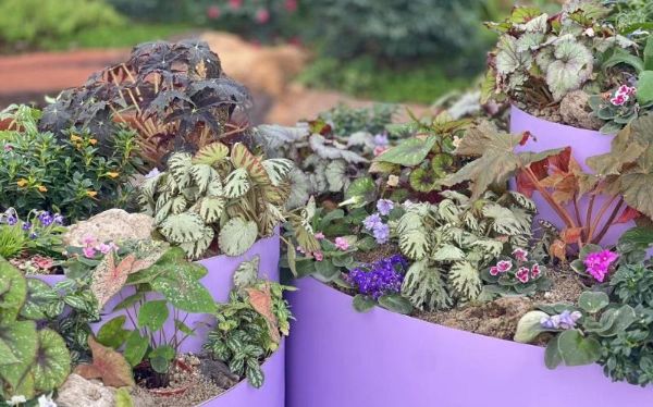 微信图片_20240927171004.jpg 微信图片_20240927171004.jpg