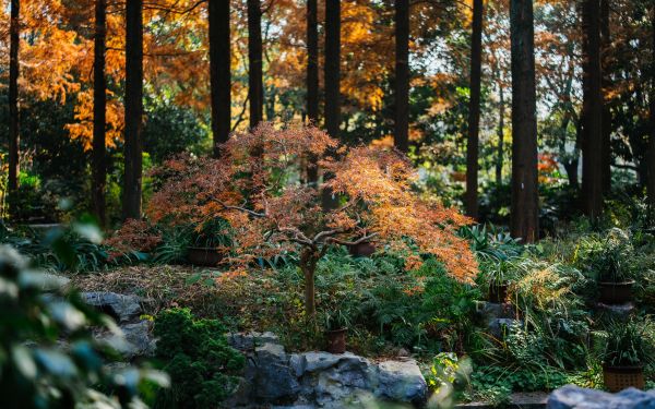 KIR08232.jpg KIR08232.jpg