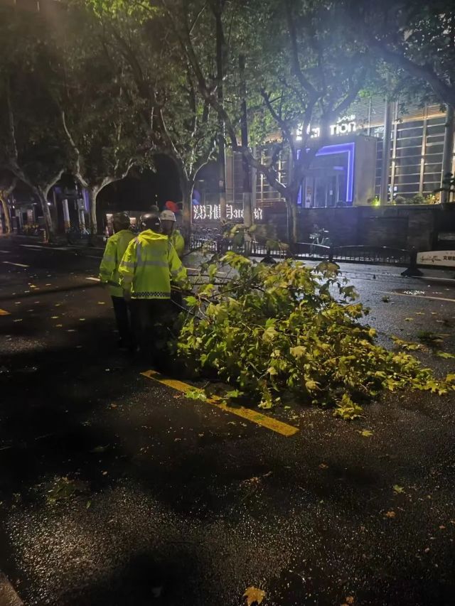 0918_135944_428.jpg 微信图片_20240918104935.jpg