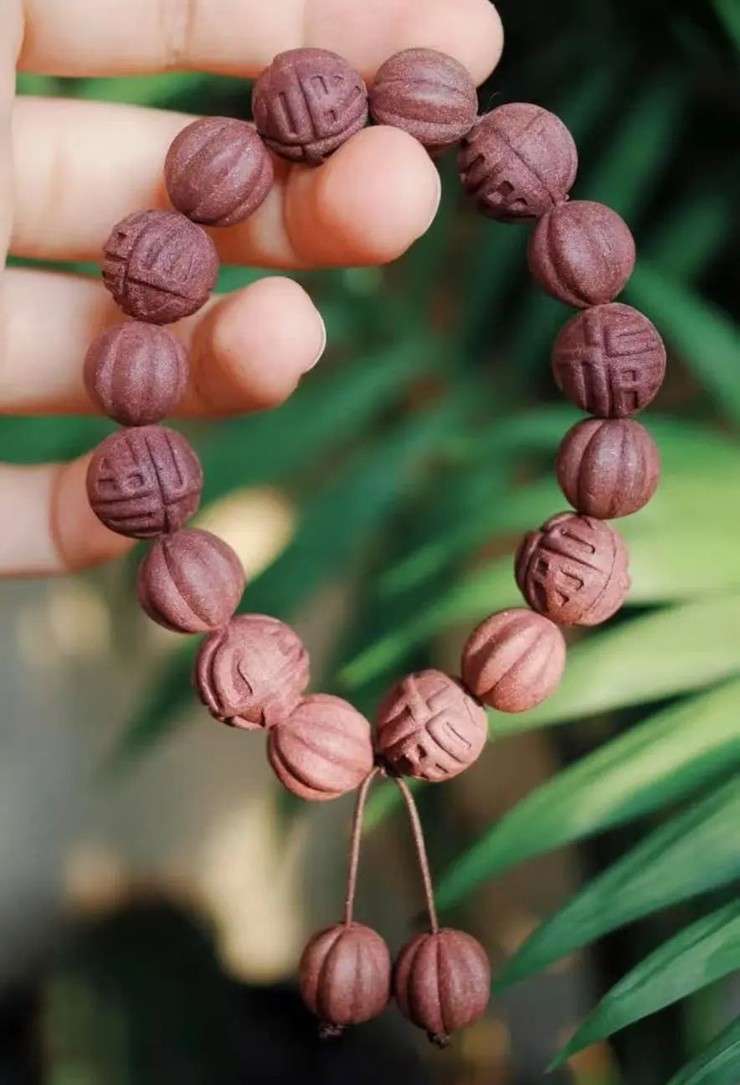 青浦区妇联活动预告:春日序章,2025年4月活动邀您共赴诗意之约 青浦区妇联活动预告:春日序章,2025年4月活动邀您共赴诗意之约