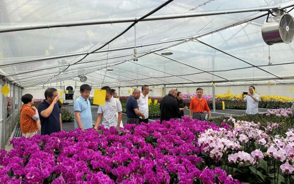 我市启动2024年市级森林乡村专家评审工作3.jpg 我市启动2024年市级森林乡村专家评审工作3.jpg