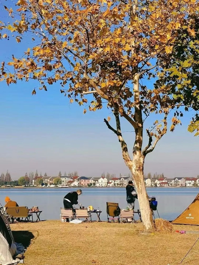 首批上海帐篷露营地“白名单”上榜!秋冬来青浦这三家“野”一下~ 首批上海帐篷露营地“白名单”上榜!秋冬来青浦这三家“野”一下~