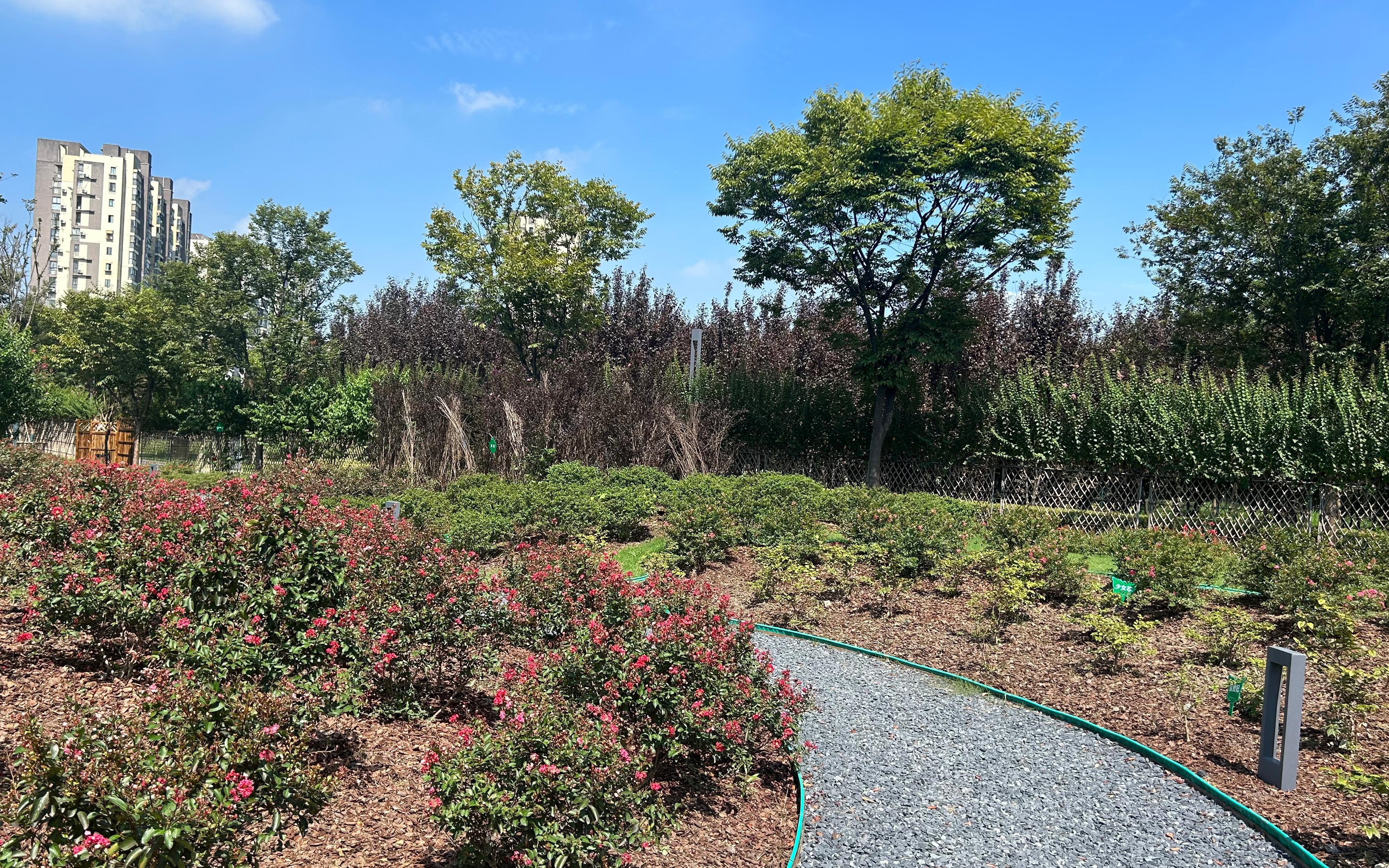 67f69acf87b250b43ed14ab1a16ea94.jpg 67f69acf87b250b43ed14ab1a16ea94.jpg