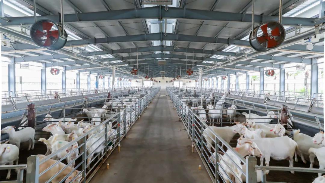 20241008152501072794.jpg 20241008152501072794.jpg