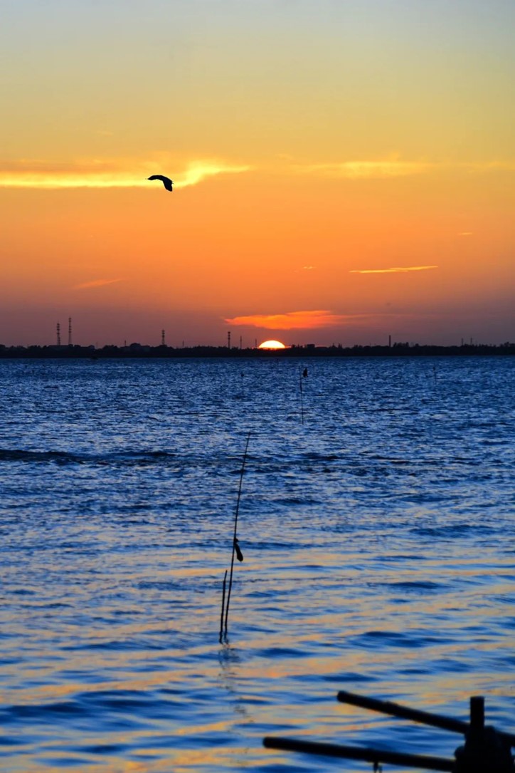 秋水伊人,来青浦,乘坐公共交通邂逅初秋水岸的一缕风凉! 秋水伊人,来青浦,乘坐公共交通邂逅初秋水岸的一缕风凉!