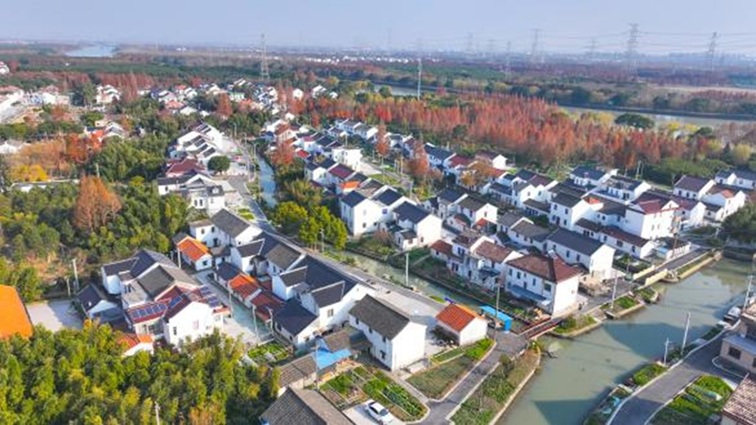 随着镜头中的涟漪,在水韵流转中感受青浦水美乡村 随着镜头中的涟漪,在水韵流转中感受青浦水美乡村