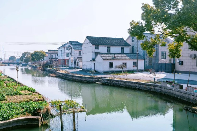 江南春景水一半,12处小流域绘青浦生态美域 江南春景水一半,12处小流域绘青浦生态美域