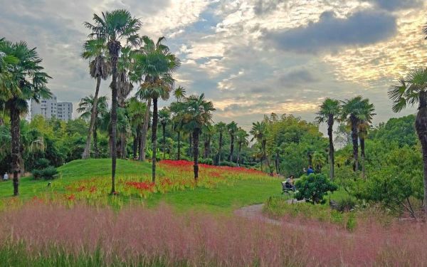 IMG20240926165937.jpg IMG20240926165937.jpg