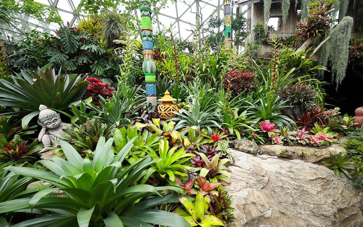 巨凤坡 2.jpg 巨凤坡 2.jpg