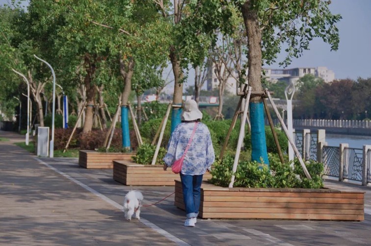 寒风乍起,秋意正浓,你想要的绝色秋光就藏在青浦! 寒风乍起,秋意正浓,你想要的绝色秋光就藏在青浦!