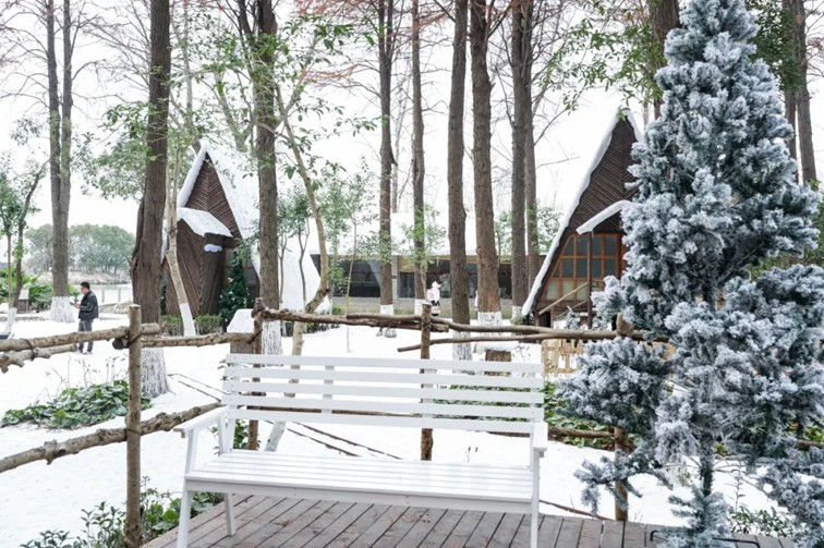 过大年·来青浦丨“蛇”我其谁~青浦近50场新春活动等你“过·来”玩! 过大年·来青浦丨“蛇”我其谁~青浦近50场新春活动等你“过·来”玩!