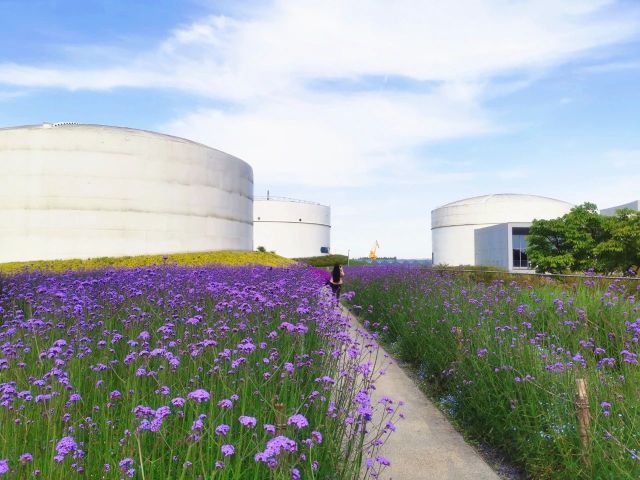 0317_141844_114.jpg 微信图片_2025-03-17_141636_659.jpg