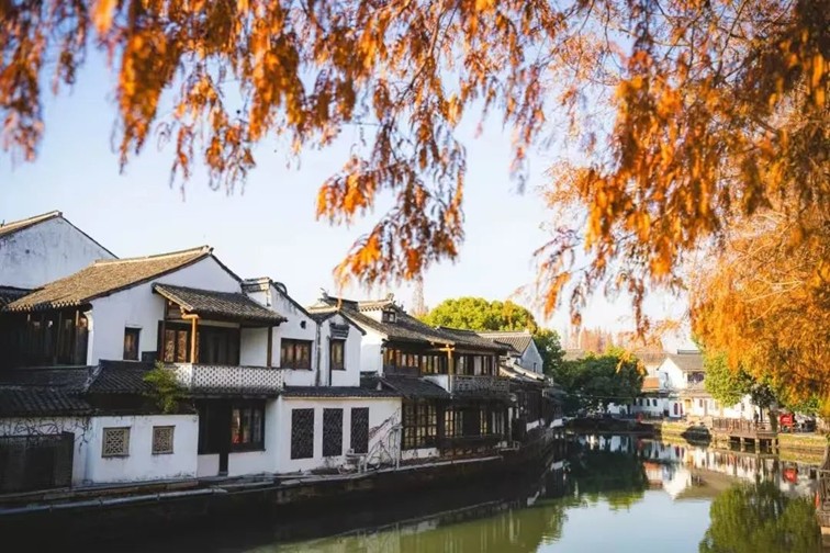 过大年·来青浦丨“蛇”我其谁~青浦近50场新春活动等你“过·来”玩! 过大年·来青浦丨“蛇”我其谁~青浦近50场新春活动等你“过·来”玩!