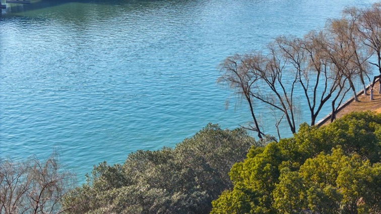 来青浦,骑行在青西“大河大湖”,太酷了! 来青浦,骑行在青西“大河大湖”,太酷了!