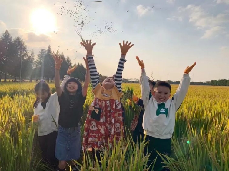 会·聚青浦|这些沪郊雅宿一到秋天就美翻,田园小院赏秋不扎堆 会·聚青浦|这些沪郊雅宿一到秋天就美翻,田园小院赏秋不扎堆