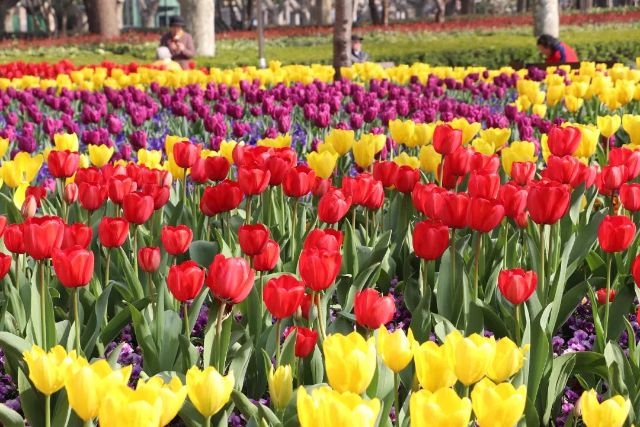 0307_144529_118.jpg 微信图片_2025-03-07_103635_150.jpg