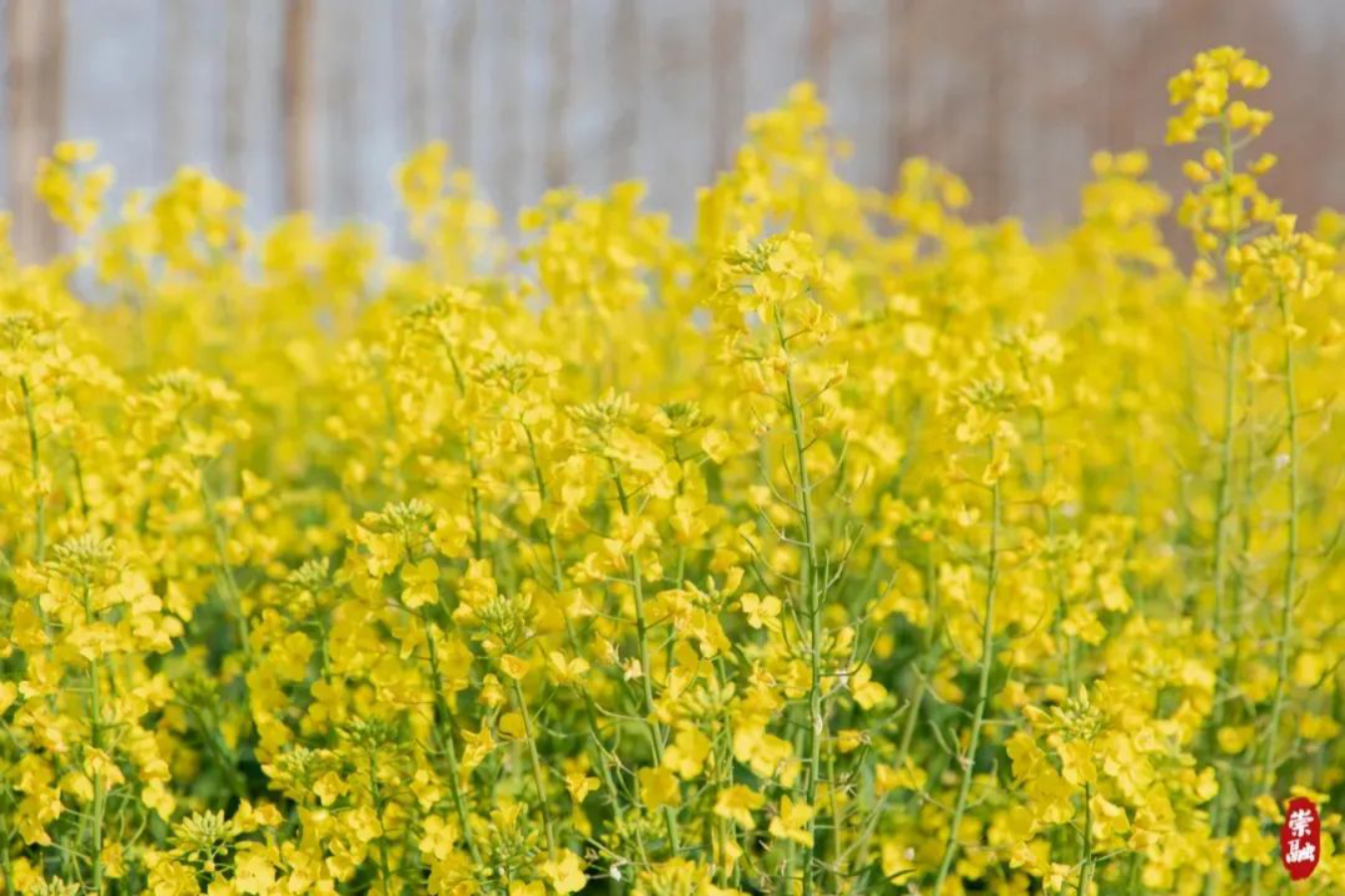 走398.png 走398.png