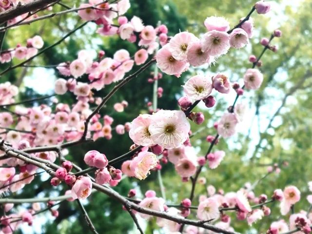 0307_144541_563.jpg 微信图片_2025-03-07_103642_863.jpg